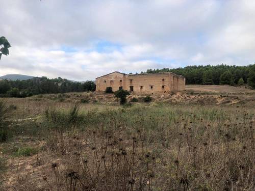 imagen 18 de Finca de regadío El Molino