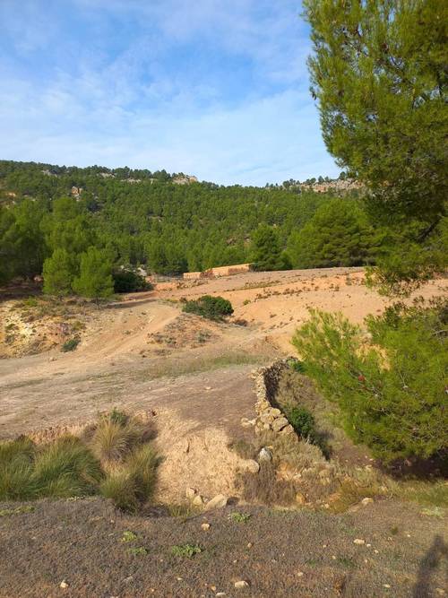 imagen 2 de Finca de regadío El Molino