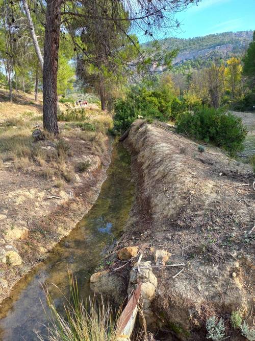 imagen 5 de Finca de regadío El Molino
