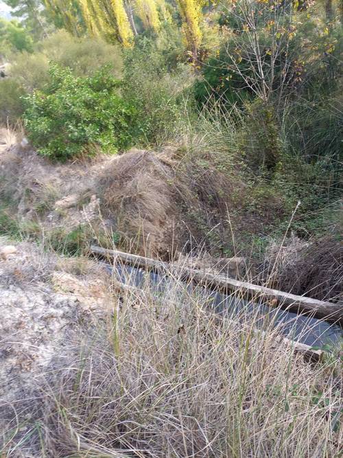imagen 7 de Finca de regadío El Molino