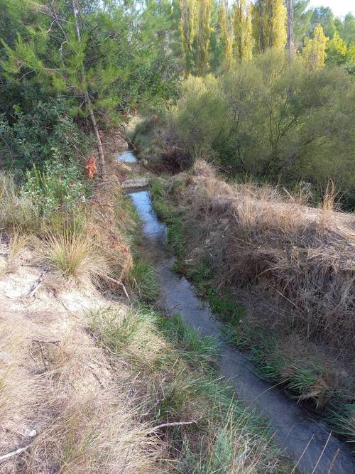 imagen 8 de Finca de regadío El Molino