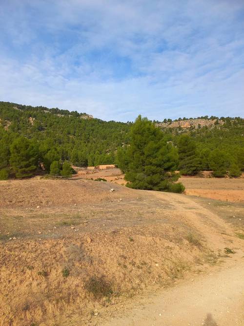 imagen 12 de Finca de regadío El Molino