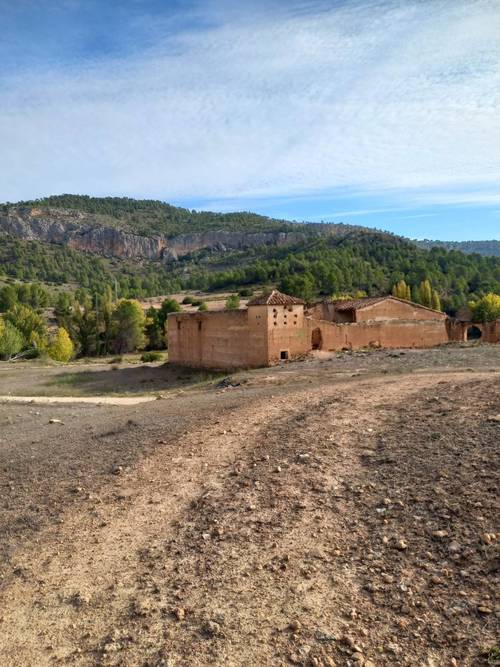 imagen 13 de Finca de regadío El Molino