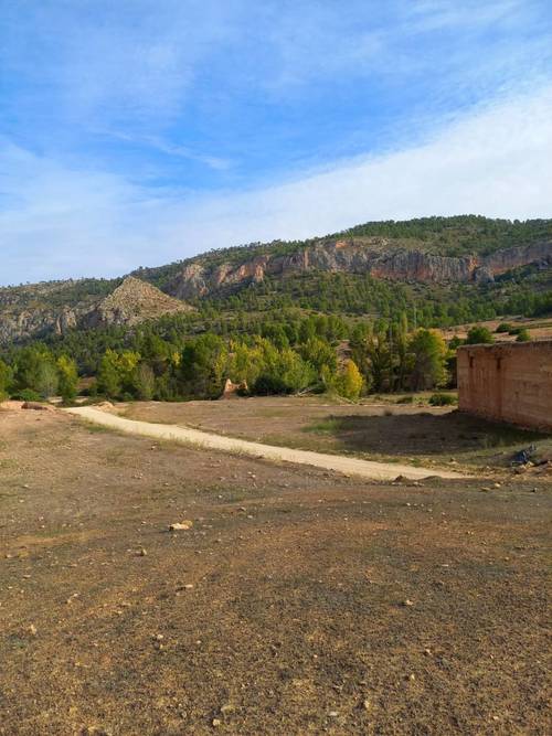 imagen 14 de Finca de regadío El Molino