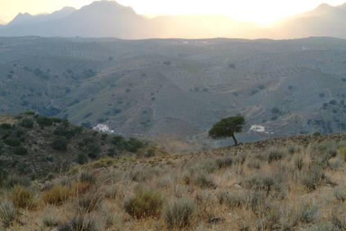 imagen 7 de VENTA DE CASA RURAL LEGALIZADA JUNTO CON FINCA ECOLOGICA DE 24 HECTAREAS