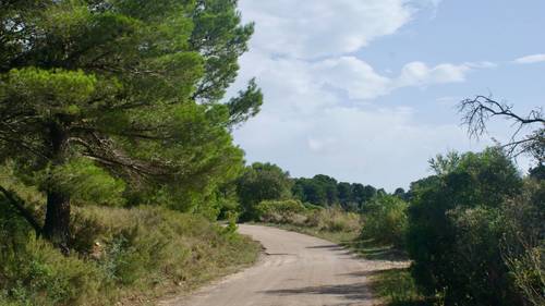 imagen 19 de MASIA CON FINCA RÚSTICA-AGRÍCOLA , A RECONSTRUIR/REHABILITAR