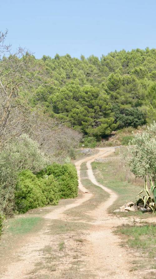 imagen 18 de MASIA CON FINCA RÚSTICA-AGRÍCOLA , A RECONSTRUIR/REHABILITAR