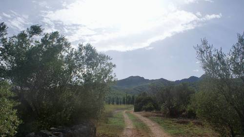 imagen 15 de MASIA CON FINCA RÚSTICA-AGRÍCOLA , A RECONSTRUIR/REHABILITAR