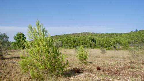imagen 10 de MASIA CON FINCA RÚSTICA-AGRÍCOLA , A RECONSTRUIR/REHABILITAR