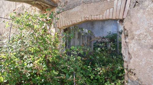 imagen 5 de MASIA CON FINCA RÚSTICA-AGRÍCOLA , A RECONSTRUIR/REHABILITAR