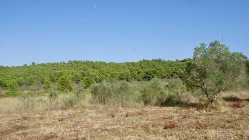 imagen 9 de MASIA CON FINCA RÚSTICA-AGRÍCOLA , A RECONSTRUIR/REHABILITAR