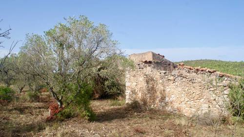 imagen 12 de MASIA CON FINCA RÚSTICA-AGRÍCOLA , A RECONSTRUIR/REHABILITAR