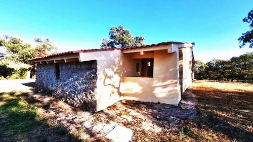 imagen 11 de Apacible finca con 2 viviendas, huerto, cuadras y más