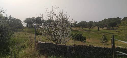 imagen 17 de Apacible finca con 2 viviendas, huerto, cuadras y más