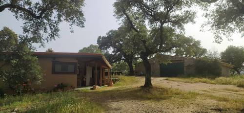 imagen 10 de Apacible finca con 2 viviendas, huerto, cuadras y más