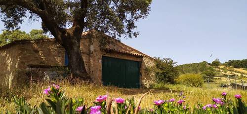 imagen 12 de Apacible finca con 2 viviendas, huerto, cuadras y más