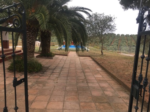 imagen 12 de CORTIJO DE LORENTE ALOJAMIENTO RURAL - TEBA - MALAGA
