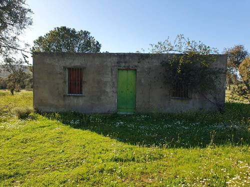 imagen 6 de FINCA EN ALCONCHEL-BADAJOZ
