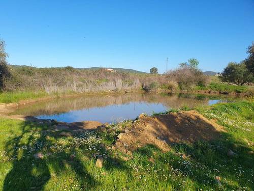 imagen 9 de FINCA EN ALCONCHEL-BADAJOZ