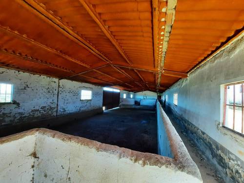 imagen 2 de FINCA EN OLIVENZA-BADAJOZ
