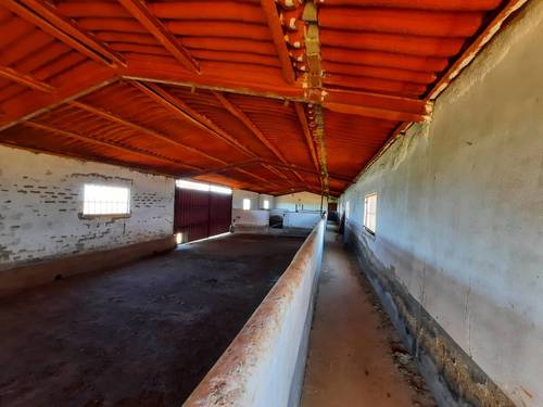 imagen 3 de FINCA EN OLIVENZA-BADAJOZ