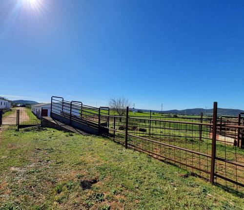 imagen 17 de FINCA EN OLIVENZA-BADAJOZ