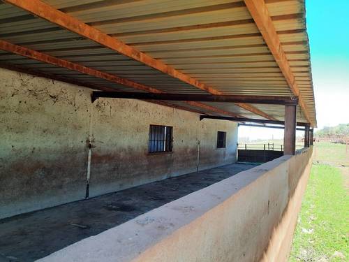 imagen 8 de FINCA EN OLIVENZA-BADAJOZ