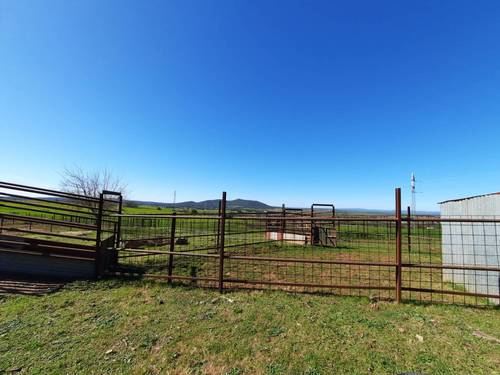 imagen 18 de FINCA EN OLIVENZA-BADAJOZ