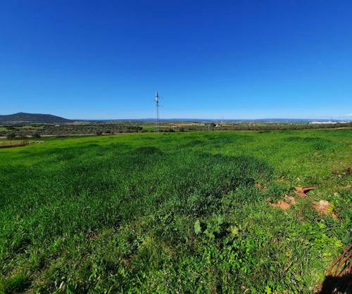 imagen 13 de FINCA EN OLIVENZA-BADAJOZ