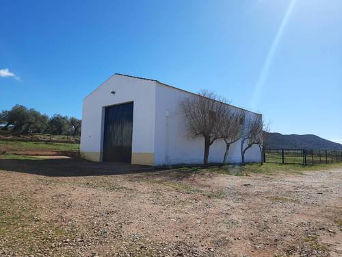 imagen 1 de FINCA EN OLIVENZA-BADAJOZ