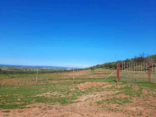 imagen 10 de FINCA EN OLIVENZA-BADAJOZ