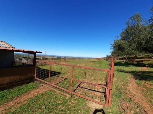 imagen 9 de FINCA EN OLIVENZA-BADAJOZ
