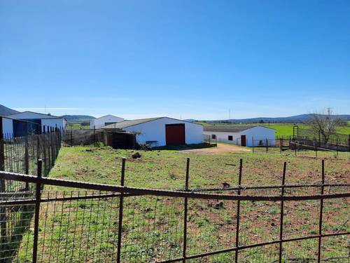 imagen 14 de FINCA EN OLIVENZA-BADAJOZ