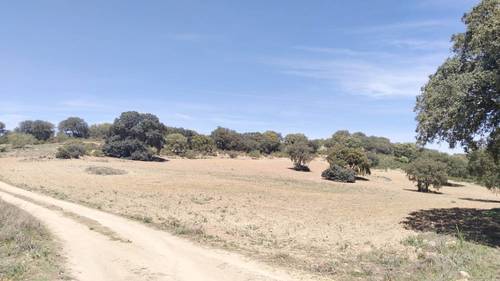 imagen 1 de BONITA FINCA  PARA DISFRUTAR  LA NATURALEZA