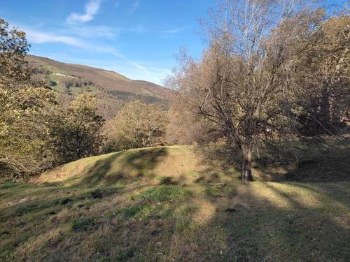 imagen 7 de Cabaña Pasiega