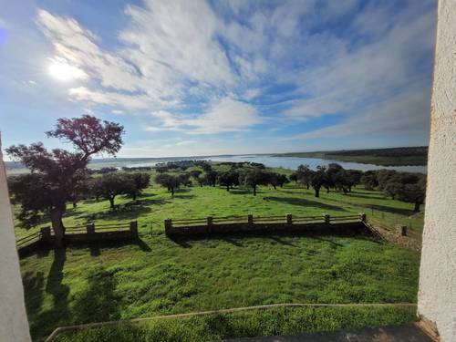 imagen 3 de Finca ganadera en Extremadura, cerca Zorita