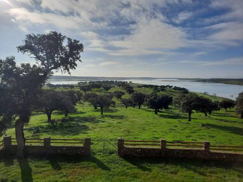 imagen 1 de Finca ganadera en Extremadura, cerca Zorita