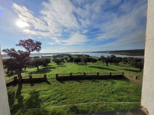 imagen 14 de Finca ganadera en Extremadura, cerca Zorita