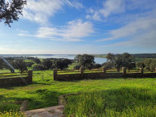 imagen 9 de Finca ganadera en Extremadura, cerca Zorita