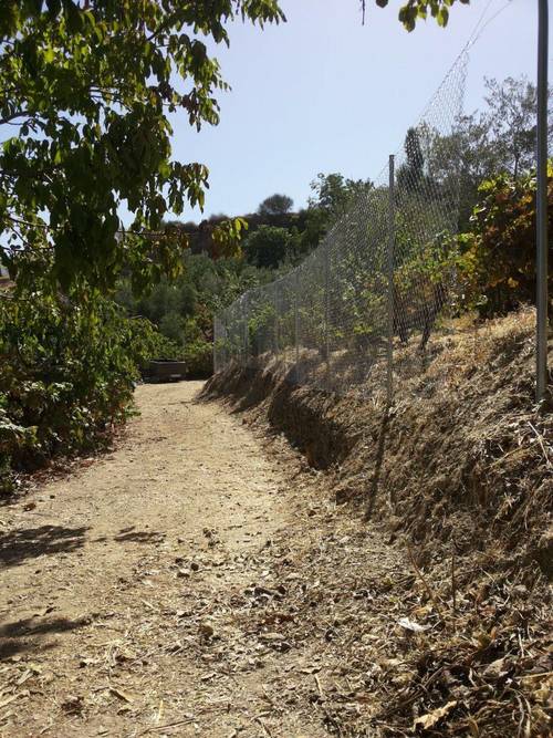 imagen 3 de Terreno rustico y vivienda