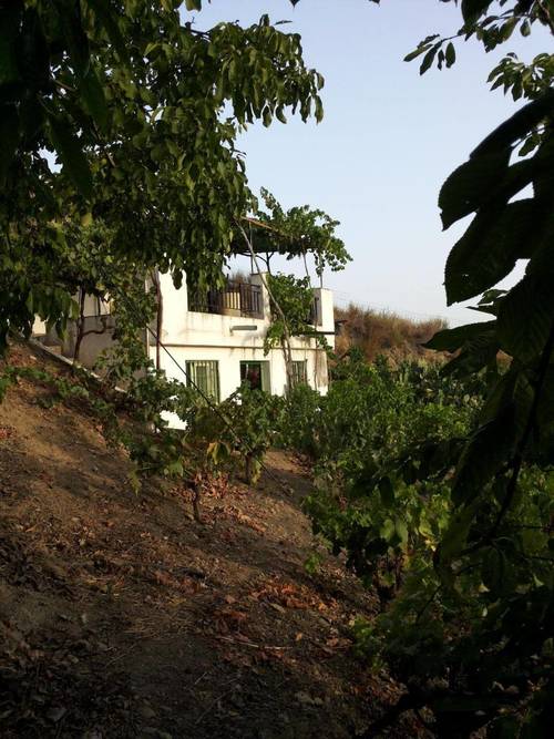 imagen 5 de Terreno rustico y vivienda