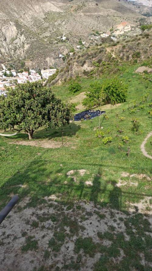 imagen 7 de Terreno rustico y vivienda