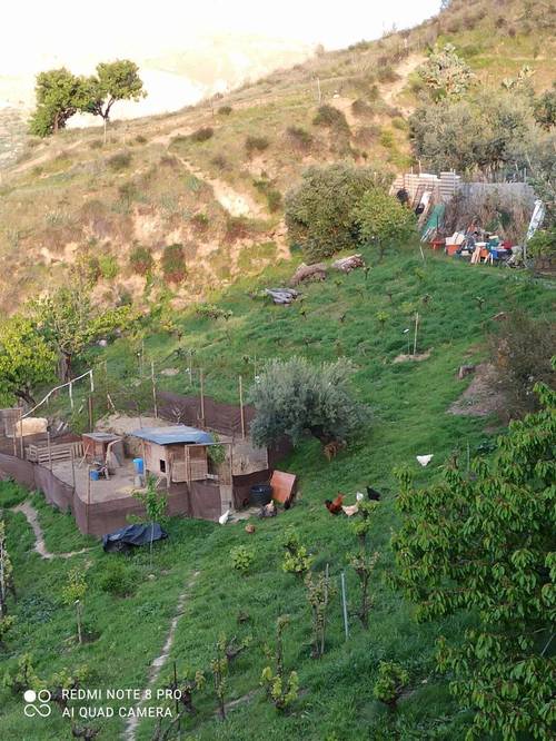 imagen 8 de Terreno rustico y vivienda