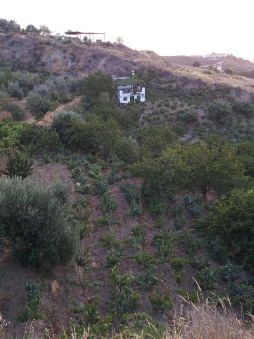 imagen 10 de Terreno rustico y vivienda