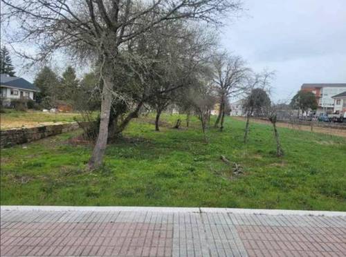 imagen 4 de FINCA URBANA EN LA BARRELA