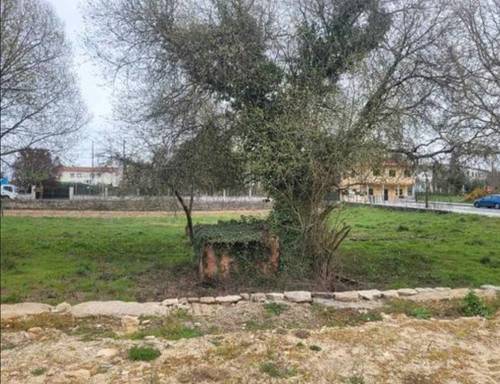 imagen 5 de FINCA URBANA EN LA BARRELA