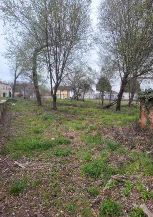 imagen 7 de FINCA URBANA EN LA BARRELA