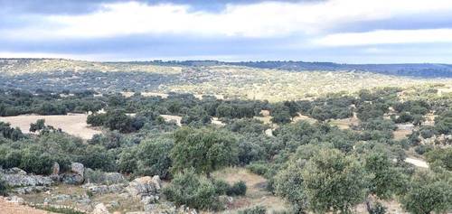 imagen 11 de Magnífica finca de recreo en Toledo