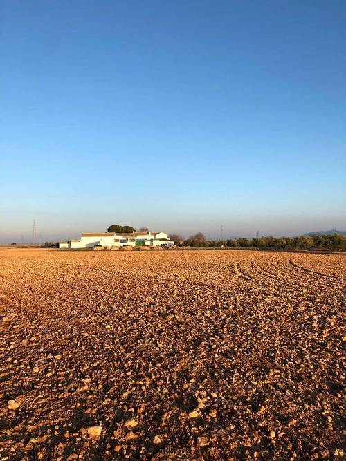 imagen 1 de Finca de 115 Ha en produccion de secano