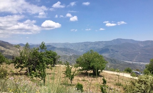 imagen 2 de Bonita finca en la Alpujarra con cortijo, buen acceso y agua